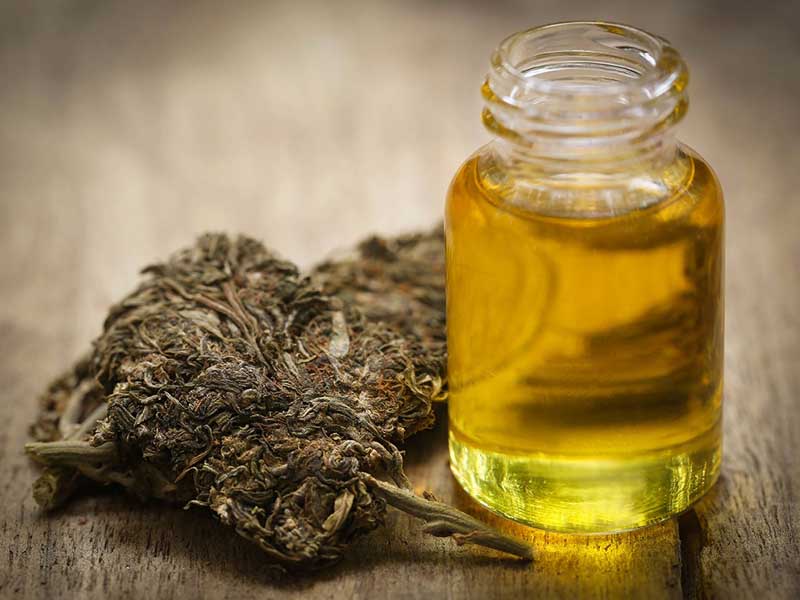 Hašiševo olje uporablja vsak drugi pacient