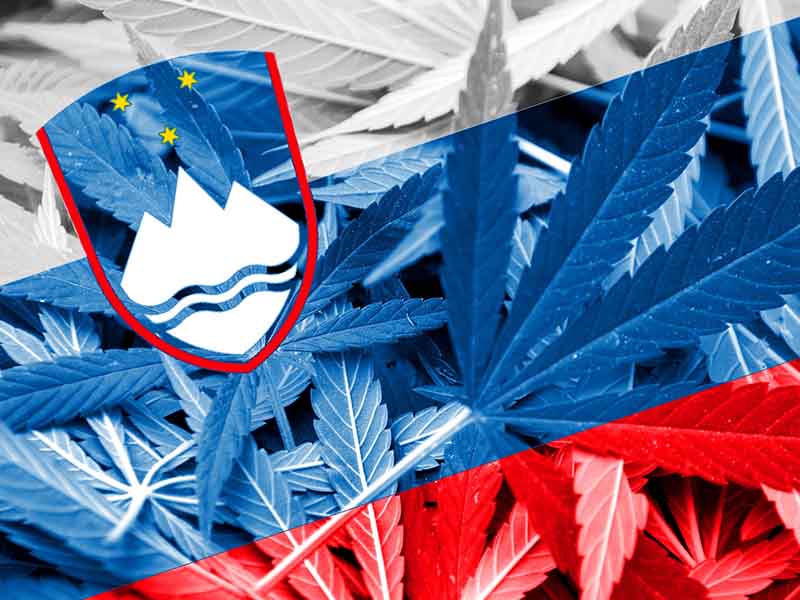 Industrijska konoplja v Sloveniji