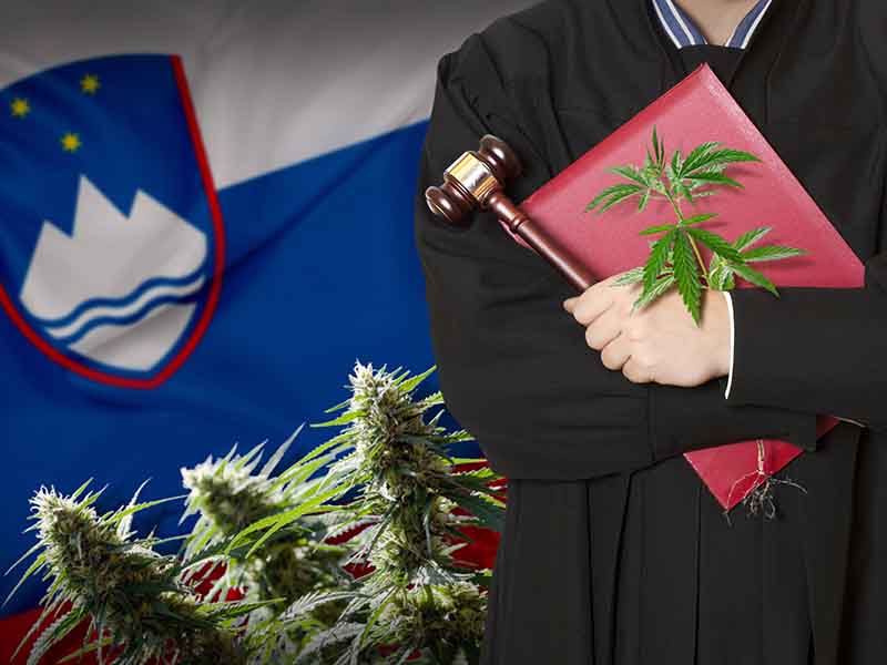 Marihuana v Sloveniji