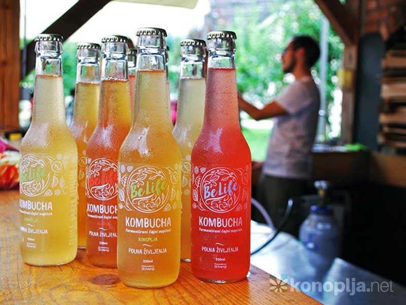 Kombuča iz konoplje, sedaj tudi v Sloveniji