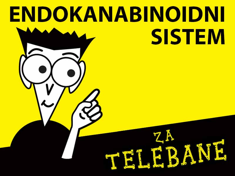 Endokanabinoidni sistem za telebane