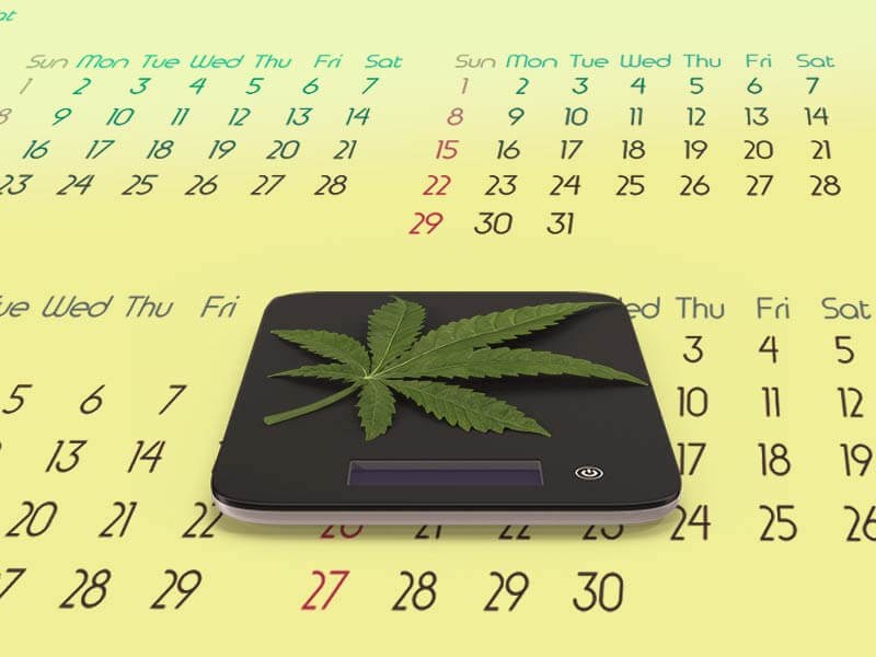 Doziranje konoplje