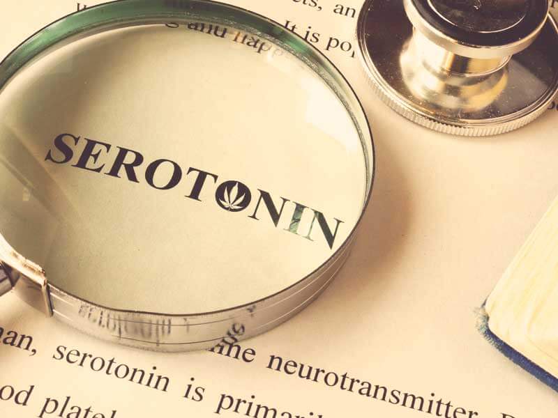 CBD in serotonin