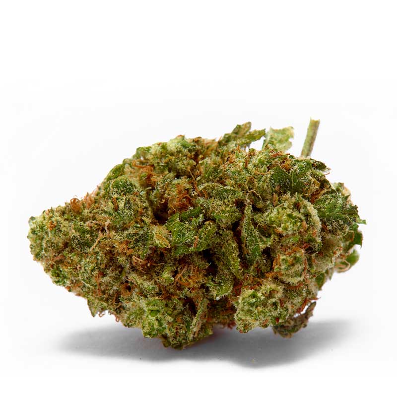 Sour Diesel Autoflower - KonopljaNet Vršiček semena Sour Diesel Autoflower