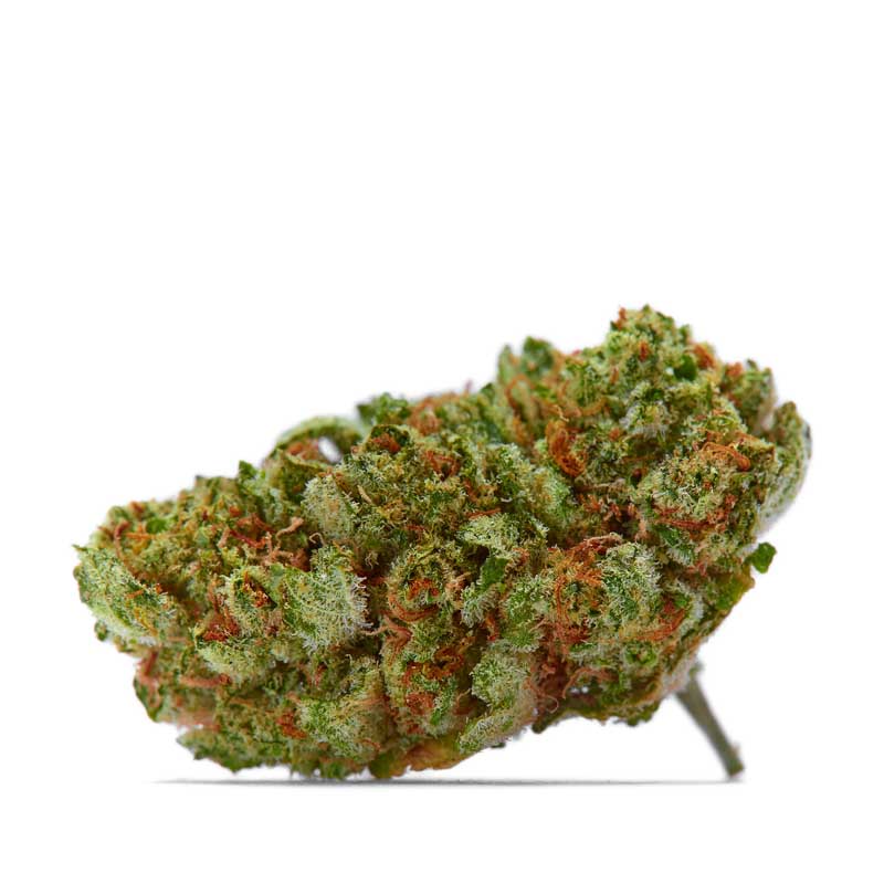 Sour Diesel Classic - KonopljaNet Vršiček semena Sour Diesel Classic