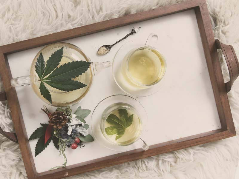 Snovi v konopljinem čaju - Konopjla.net