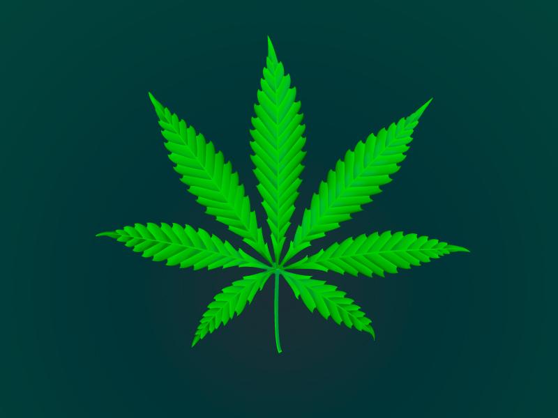 Kanabis na letališču