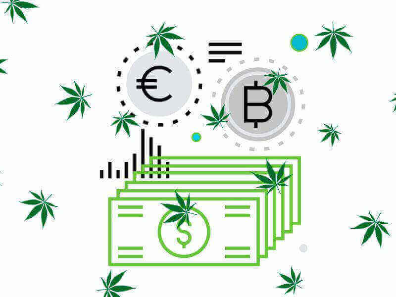 hitro rastoča industrija konoplje