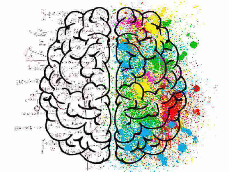 Grafika leve in desne polovice možganov