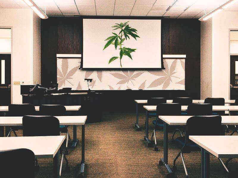 Usposabljanje za delo s konopljo.