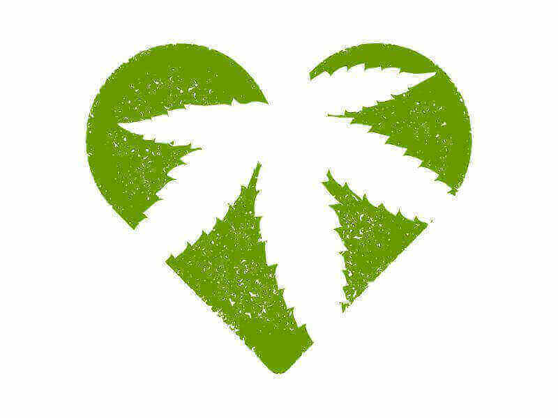 Zakaj si medicinska konoplja zasluži legalizacijo