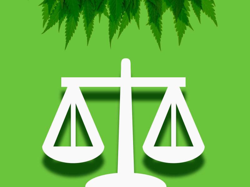 predlog zakona o konoplji