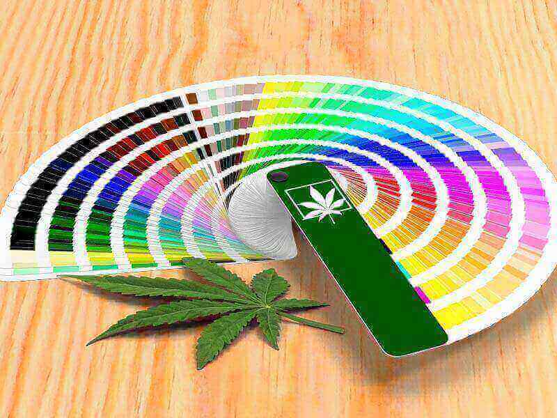 Pester nabor terpenov