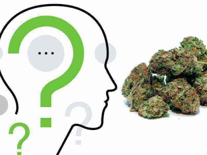 odvisnost od marihuane